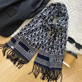 Louis Vuitton LV Dior Scarf(16 styles)-0281
